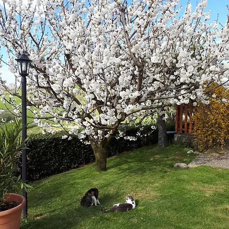 Montorso Monte Rinaldo